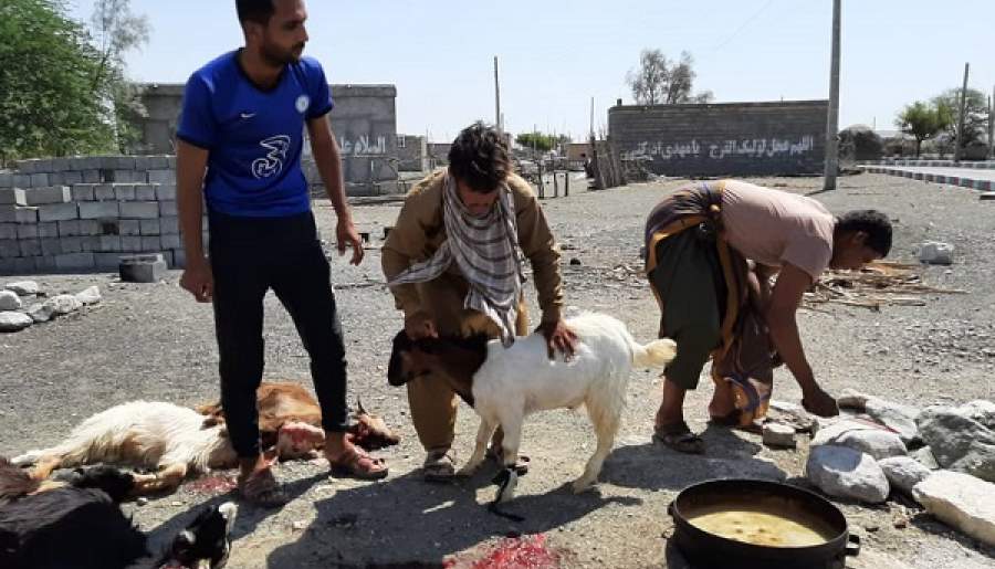6 هزار و 161 گوسفند در استان کرمان به نیابت از شهید سلیمانی قربانی شدند+ تصاویر