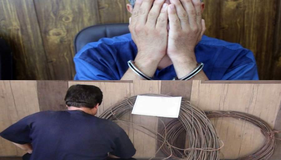 دستگیری کلاهبردار میلیاردی و سارقان سیم در بردسیر