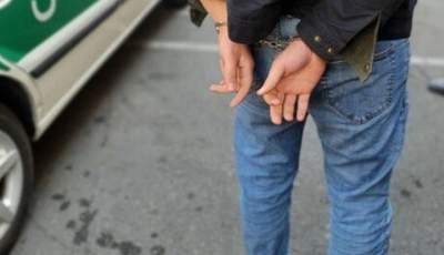 دستگیری عامل ۱۵ فقره سرقت در رودبار جنوب
