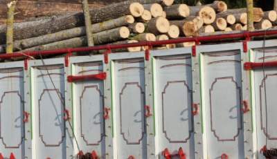 کشف ۱۵ تن چوب قاچاق در شهرستان زرند
