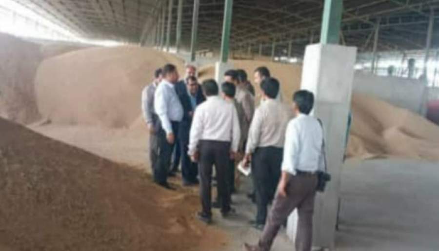 رفع مشکلات کشاورزان شهرستان ارزوئیه و پرداخت قیمت گندم خریداری شده در دستور کار است