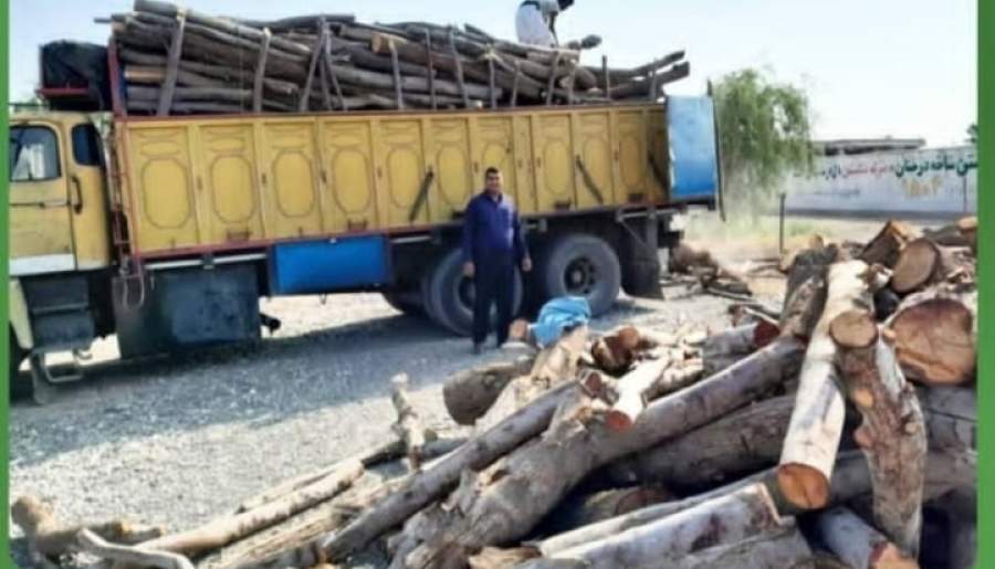 ۱۰تُن چوب بدون مجوز حمل در شهرستان رودبارجنوب کشف شد