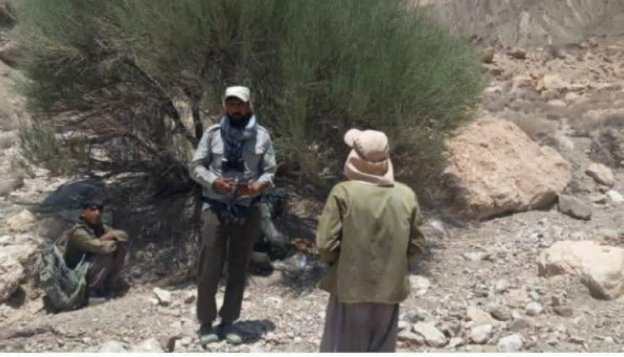 دستگیری تیم بهره‌بردار غیرمجاز انغوزه شیرین در مراتع راور