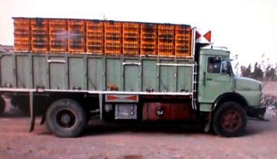 توقيف کامیون حامل مرغ زنده قاچاق در نرماشیر